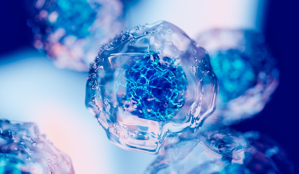 Kanada'da tip 1 diyabetin tedavisine yönelik yeni bir adım